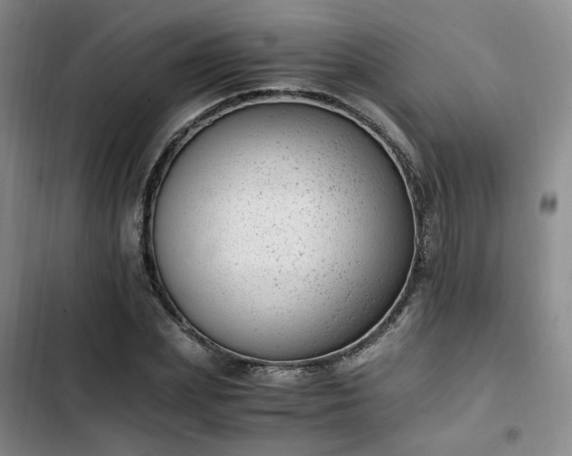 X0000102760831200808251026