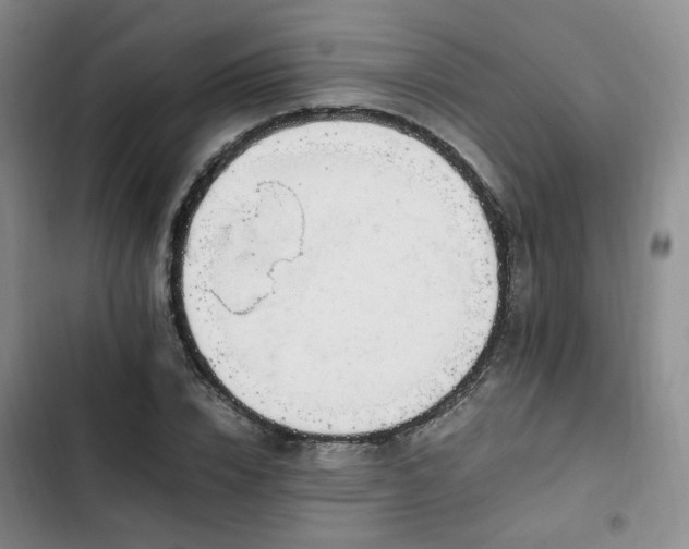 X0000102760832200808251026