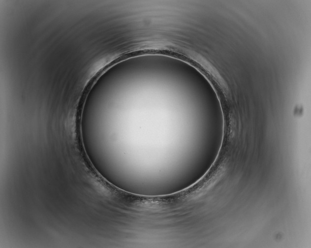 X0000102760834200808251026