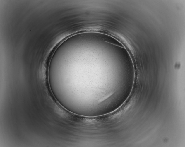 X0000102760835200808251026