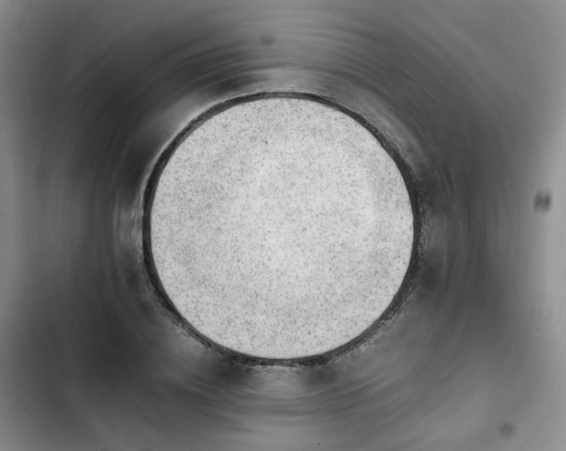 X0000102760836200808251026