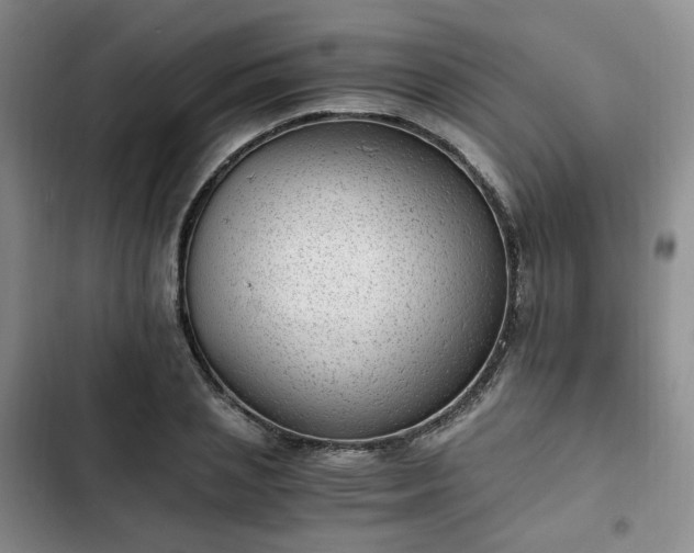 X0000102760837200808251026