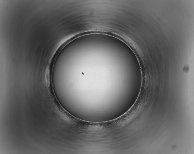 X0000102760838200808251026