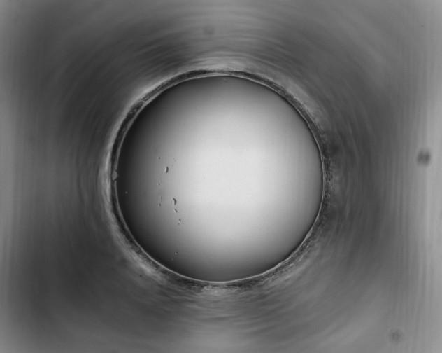 X0000102760840200808251026