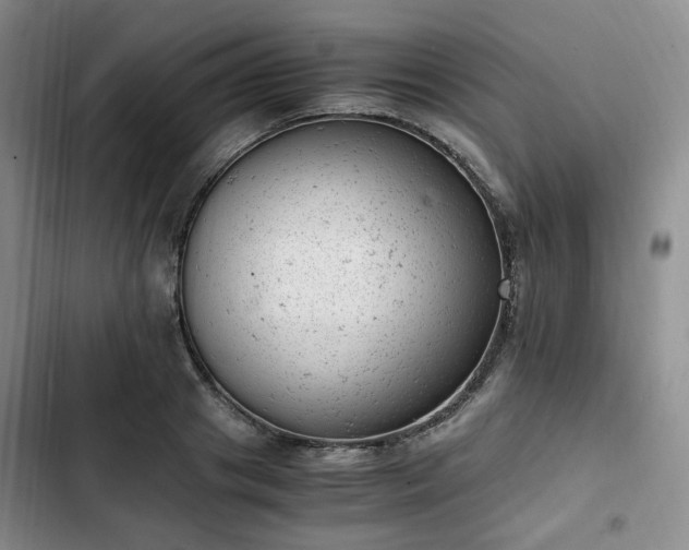 X0000102760841200808251026