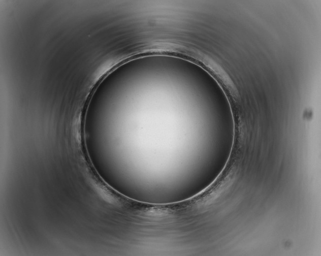 X0000102760842200808251026