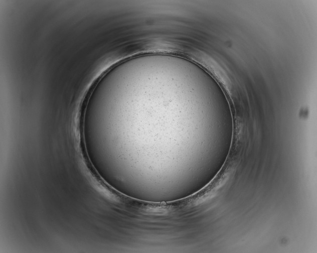 X0000102760843200808251026