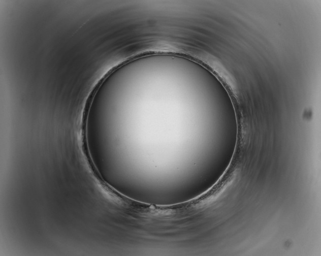 X0000102760845200808251027