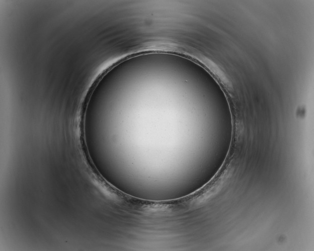 X0000102760846200808251027