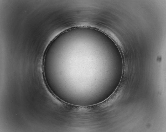 X0000102760847200808251027