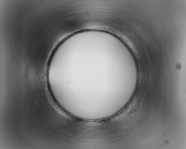 X0000102760848200808251027