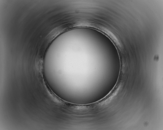 X0000102760849200808251027