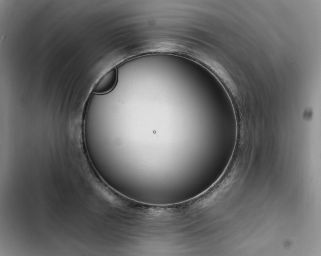 X0000102760850200808251027