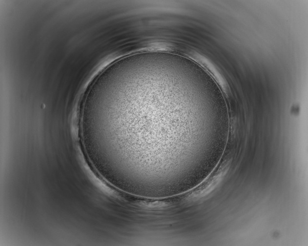 X0000102760851200808251027