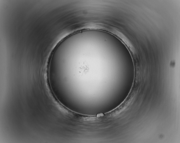 X0000102760853200808251027