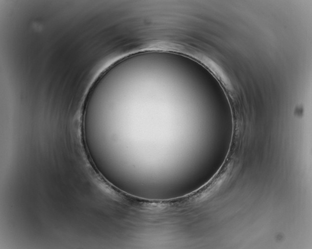 X0000102760854200808251027