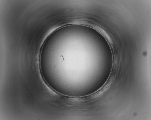 X0000102760855200808251027