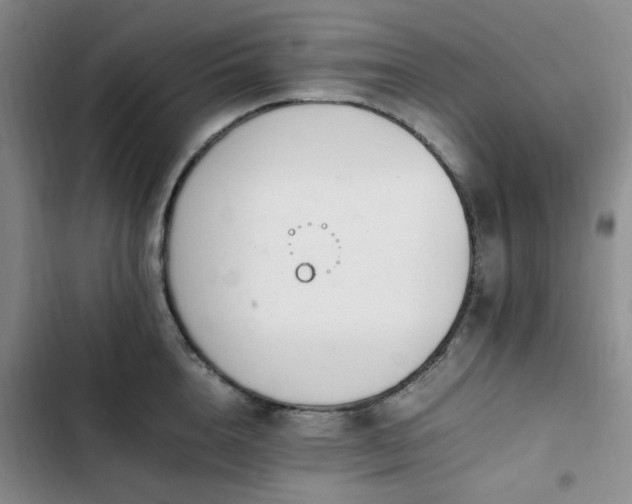 X0000102760856200808251027