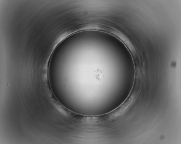 X0000102760858200808251027