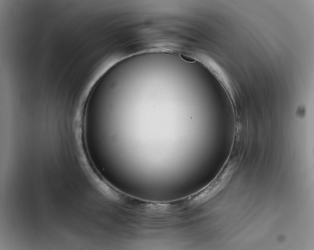 X0000102760859200808251027