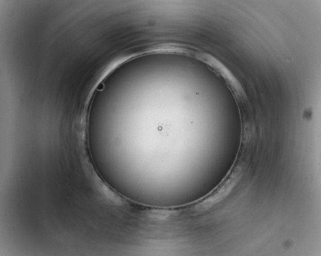 X0000102760860200808251027