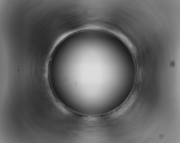 X0000102760862200808251027