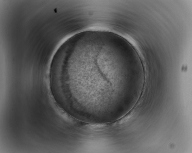 X0000102760864200808251027