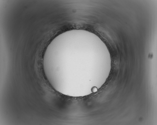 X0000102760865200808251026