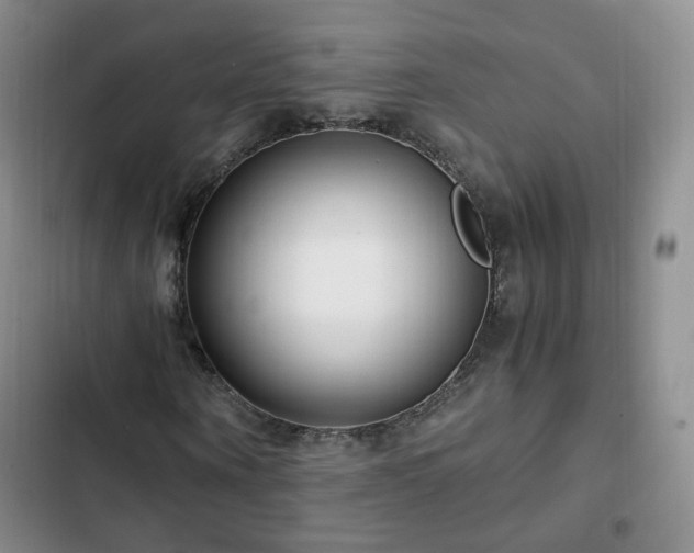 X0000102760866200808251026