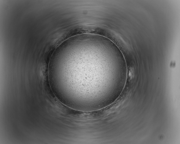 X0000102760867200808251026