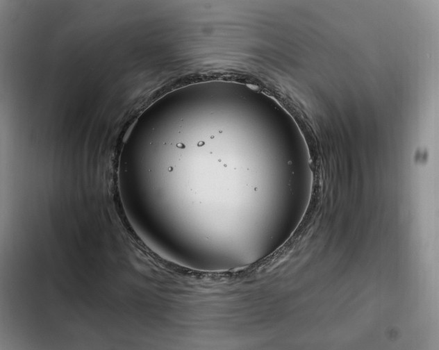 X0000102760868200808251026