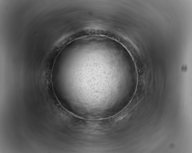 X0000102760870200808251026