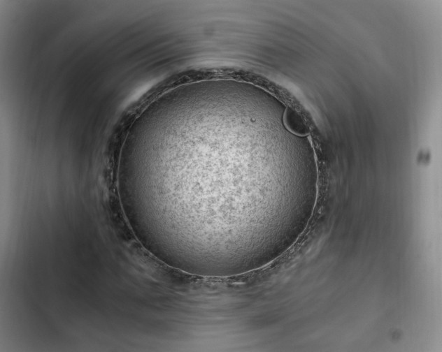 X0000102760871200808251026