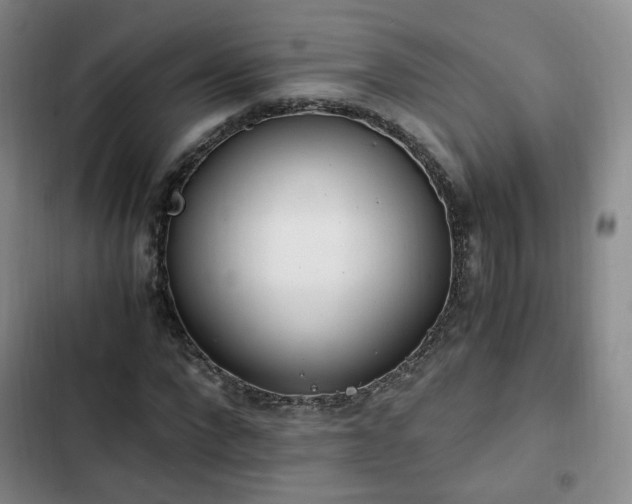 X0000102760872200808251026