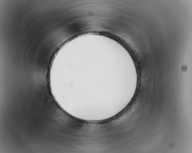 X0000102760873200808251026