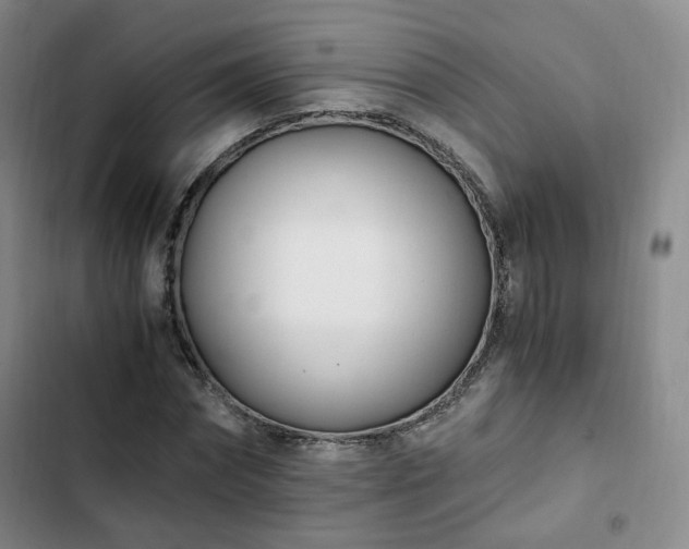 X0000102760874200808251026