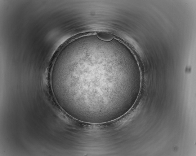 X0000102760875200808251026