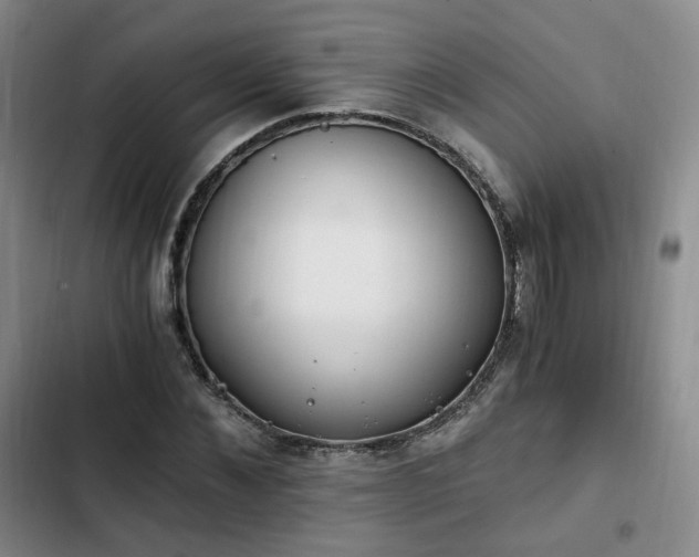 X0000102760876200808251026