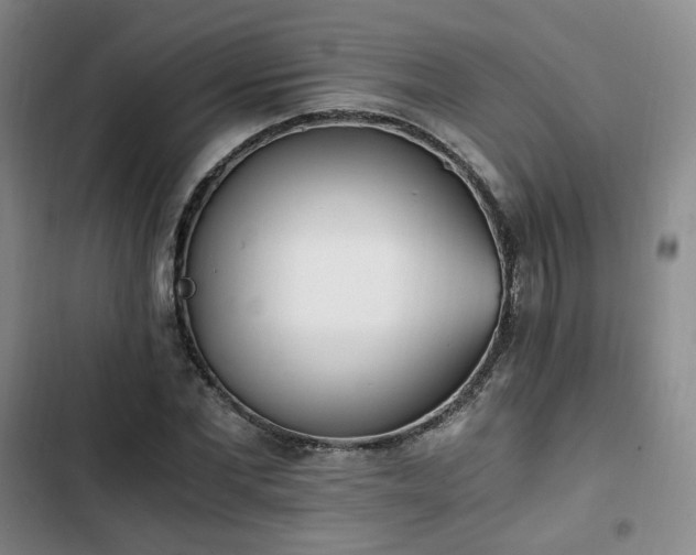 X0000102760877200808251026