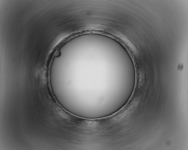 X0000102760878200808251026