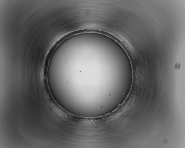 X0000102760880200808251026