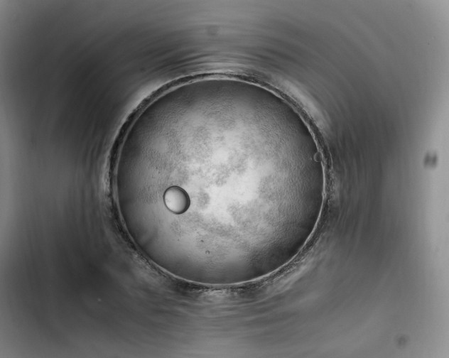 X0000102760883200808251026