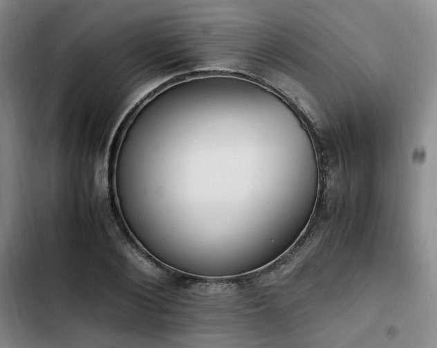 X0000102760884200808251026