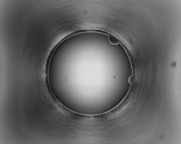 X0000102760885200808251026