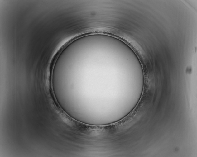 X0000102760886200808251026