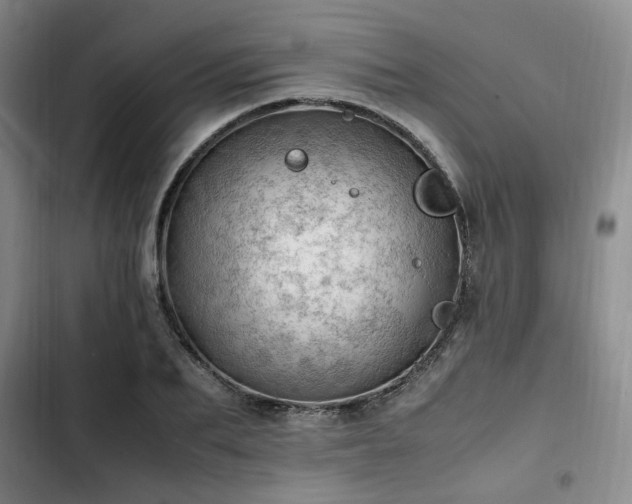 X0000102760887200808251026