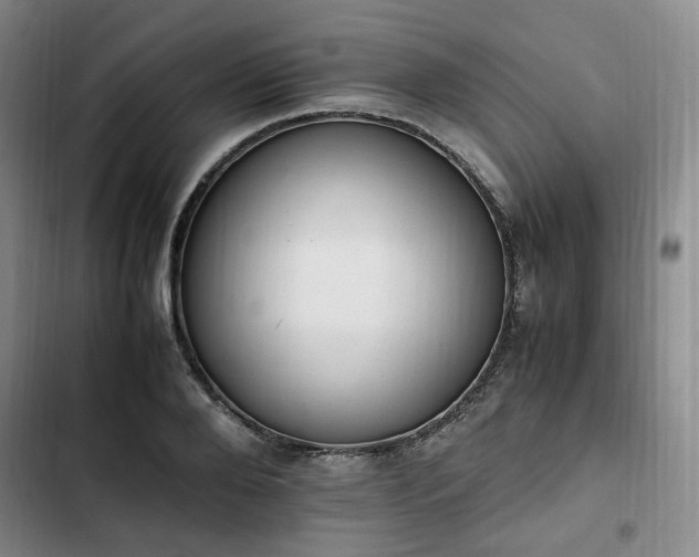 X0000102760888200808251026