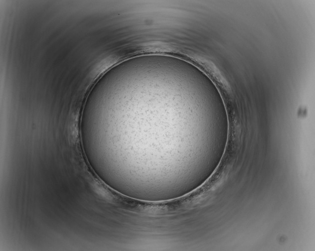 X0000102760889200808251026