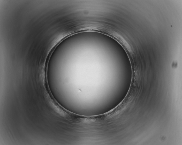 X0000102760890200808251026