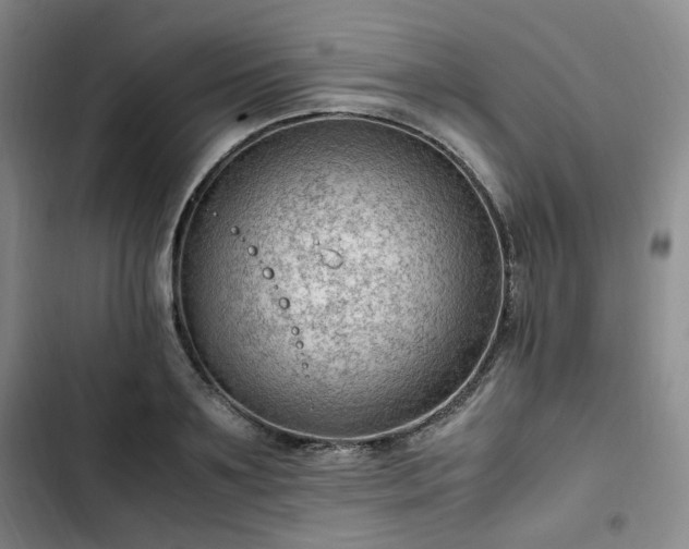 X0000102760891200808251026